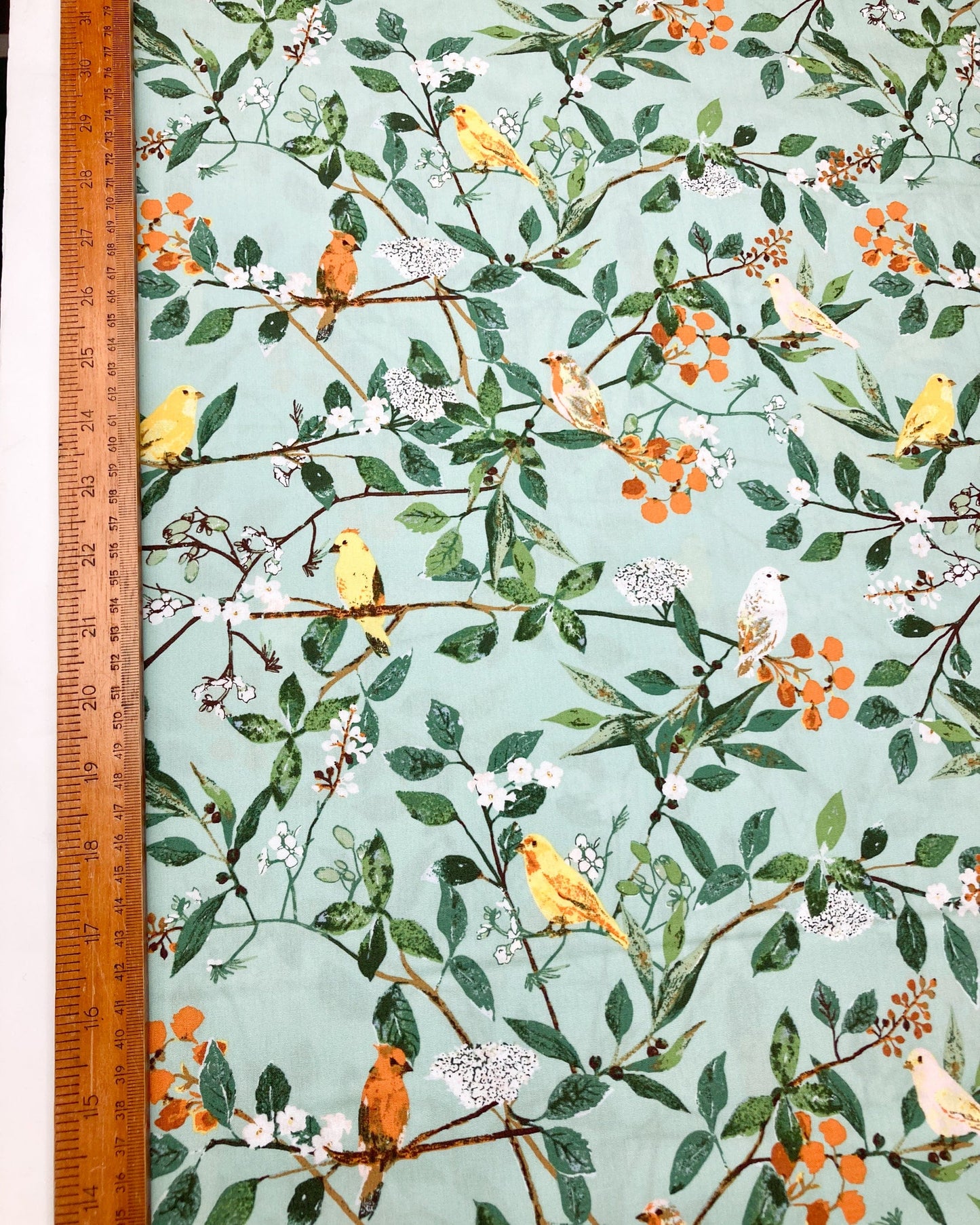 Art Gallery Fabrics 'Plentiful': Fine Cotton 'Melodic Plumage Day'