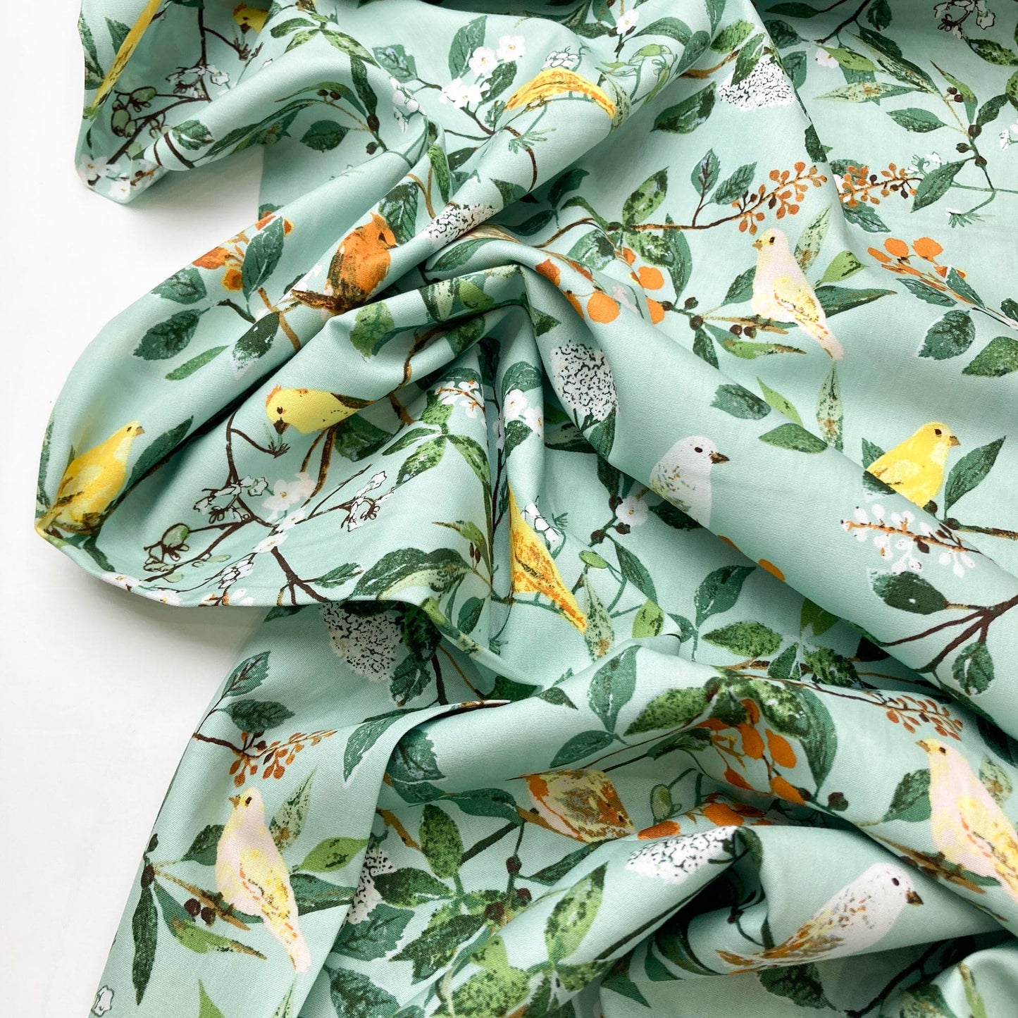 Art Gallery Fabrics 'Plentiful': Fine Cotton 'Melodic Plumage Day'