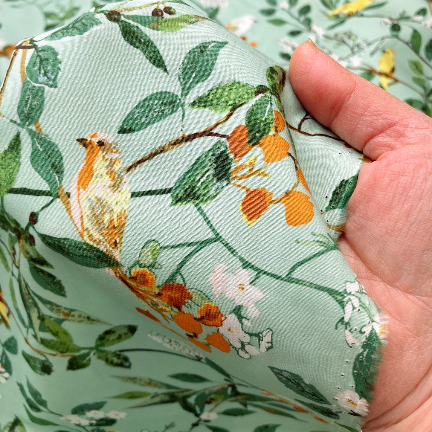 Art Gallery Fabrics 'Plentiful': Fine Cotton 'Melodic Plumage Day'