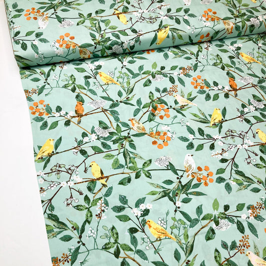 Art Gallery Fabrics 'Plentiful': Fine Cotton 'Melodic Plumage Day'