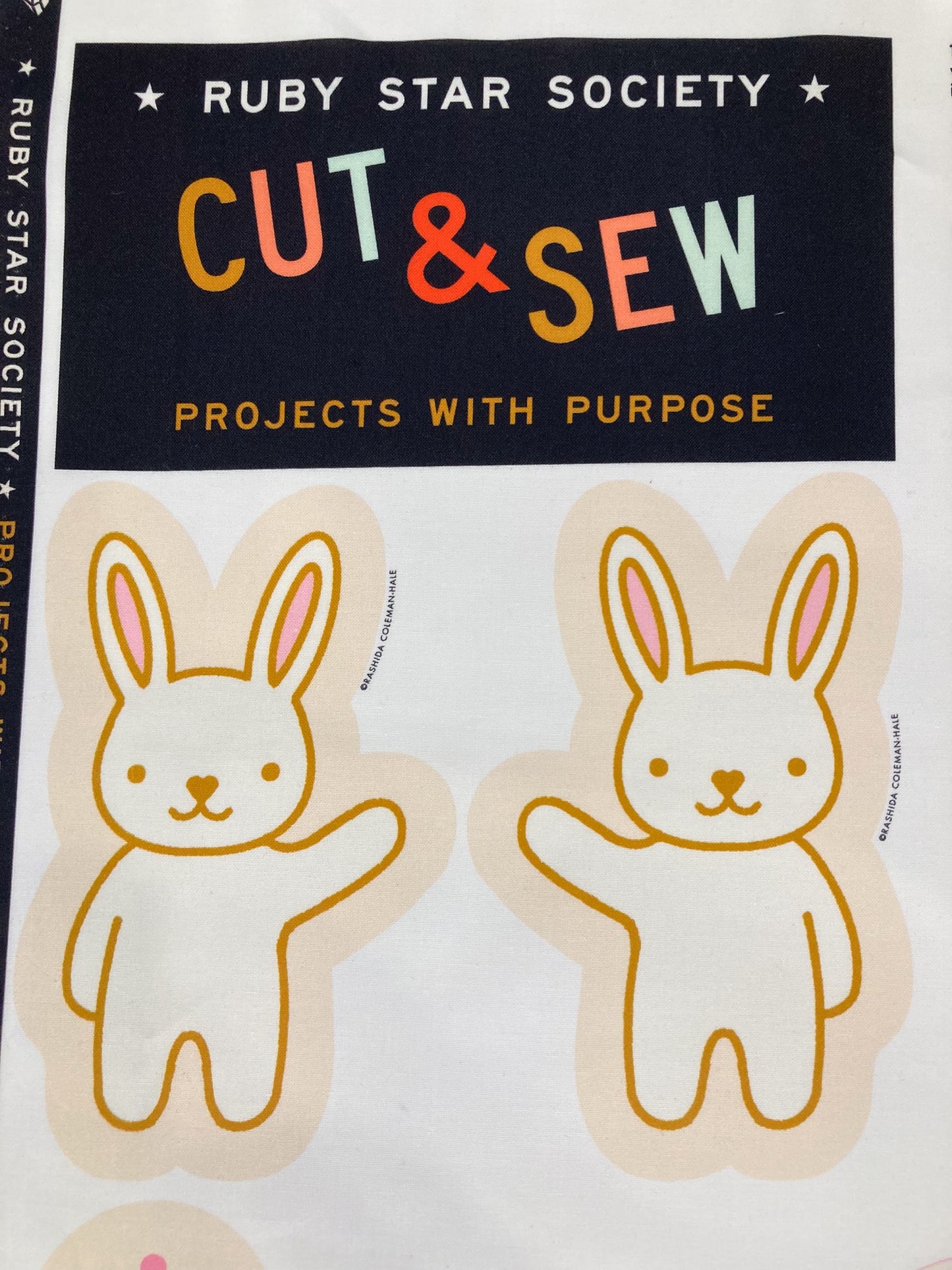 Ruby Star Society Projects with Purpose: Cut & Sew Panel