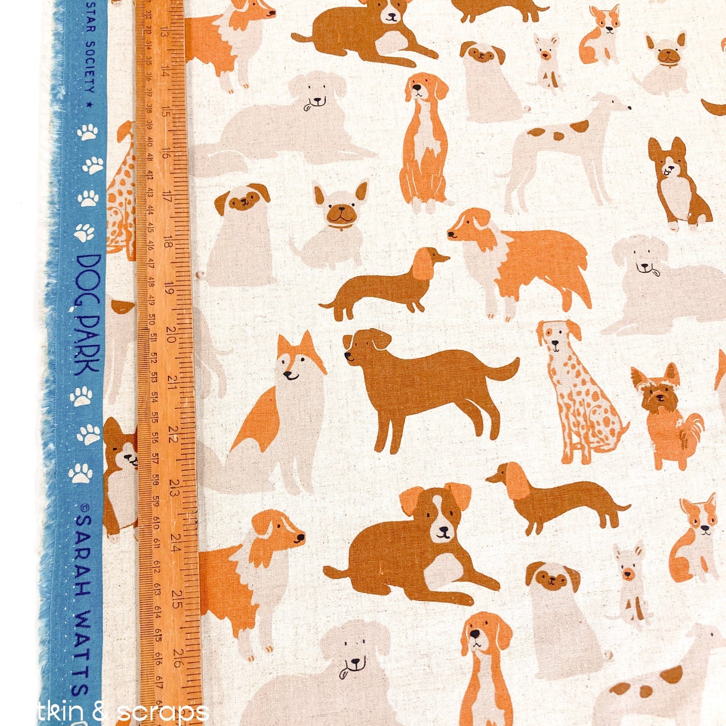 Ruby Star Society 'Dog Park': 'Dog Medley' Canvas in Natural