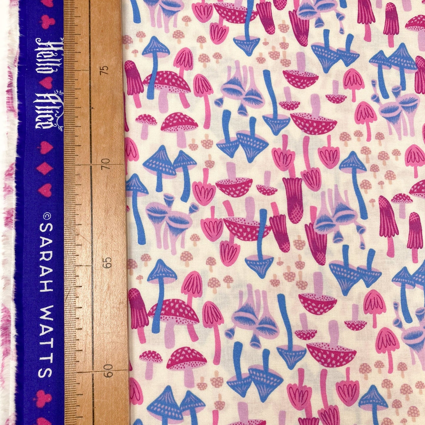 Ruby Star Society 'Hello Alice' Quilting Cotton 'Mushroom Land' in Shell