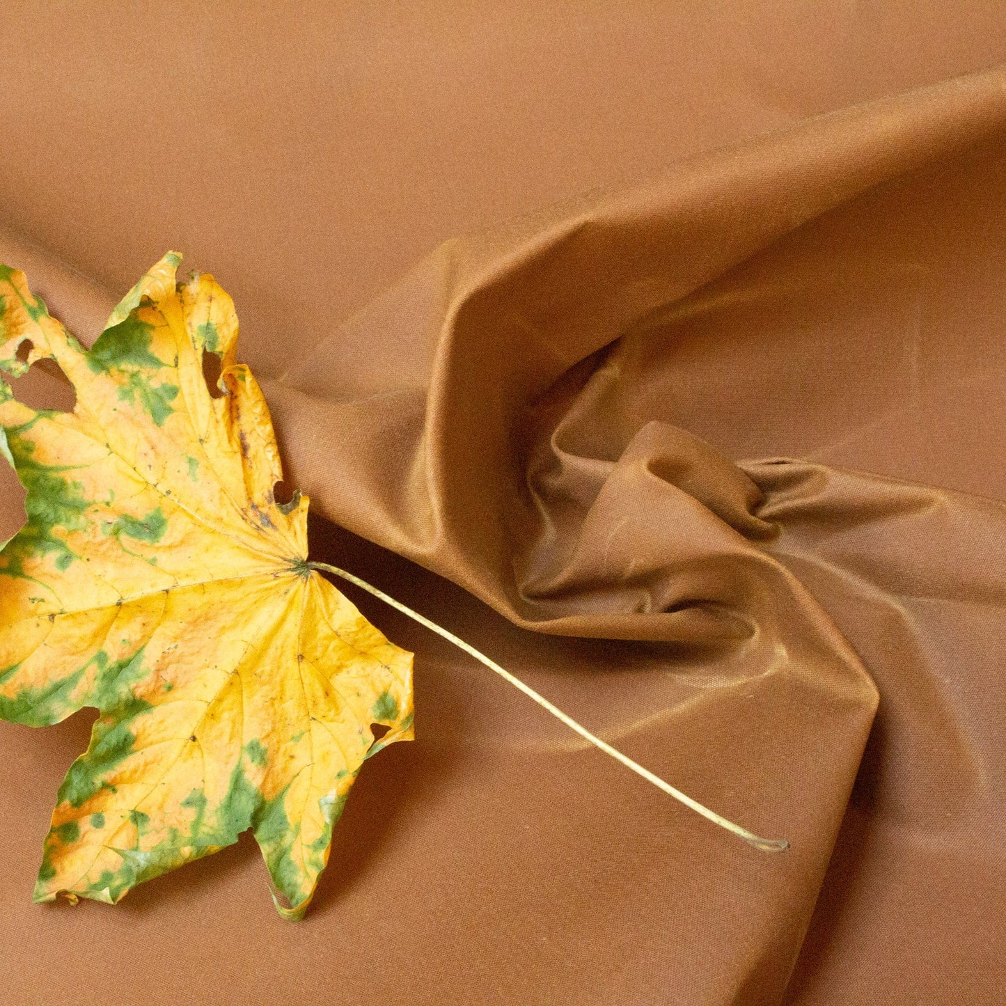 Merchant & Mills Organic Cotton Traditional Oilskin in Gold