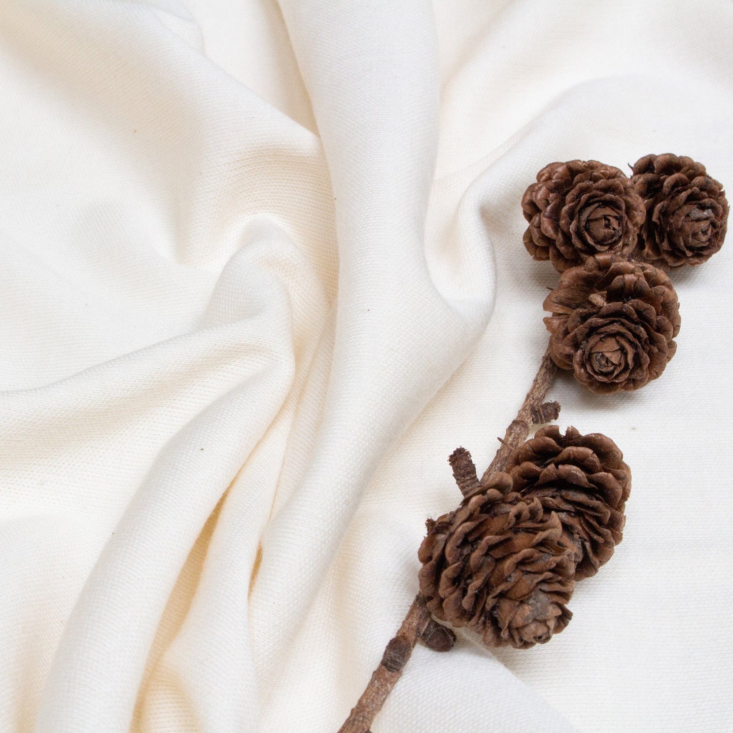 Organic Cotton Interlock Jersey