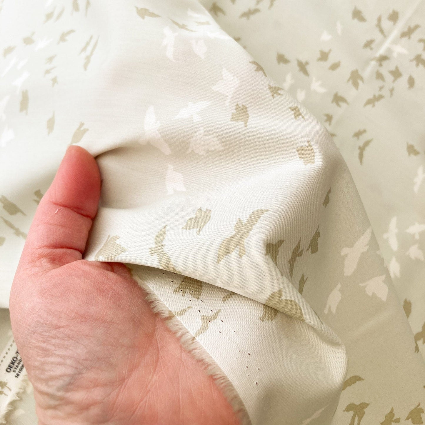 Art Gallery Fabrics Fine Cotton 'Aves Chatter Three'