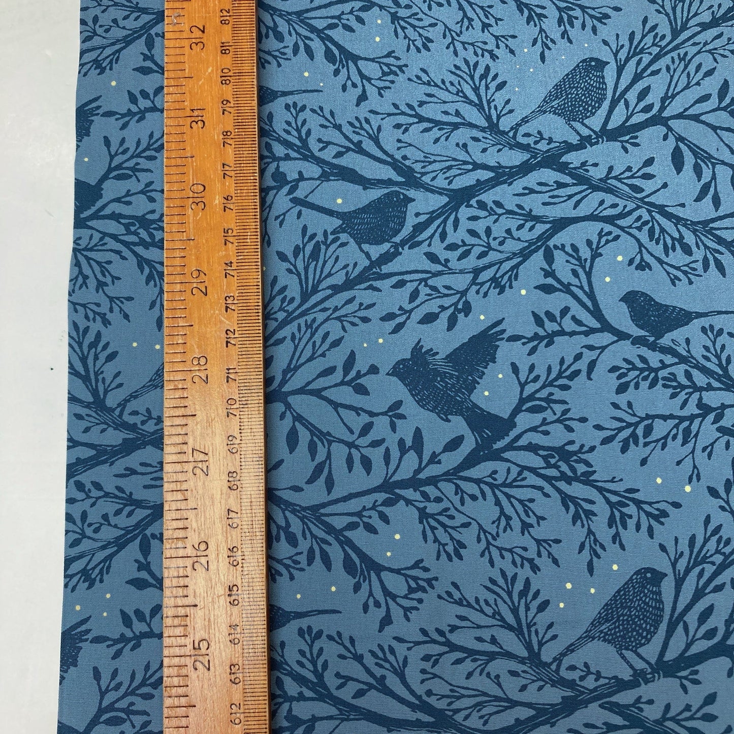 Art Gallery Fabrics 'Coyote Hill' Fine Cotton 'Flight of Shadows'