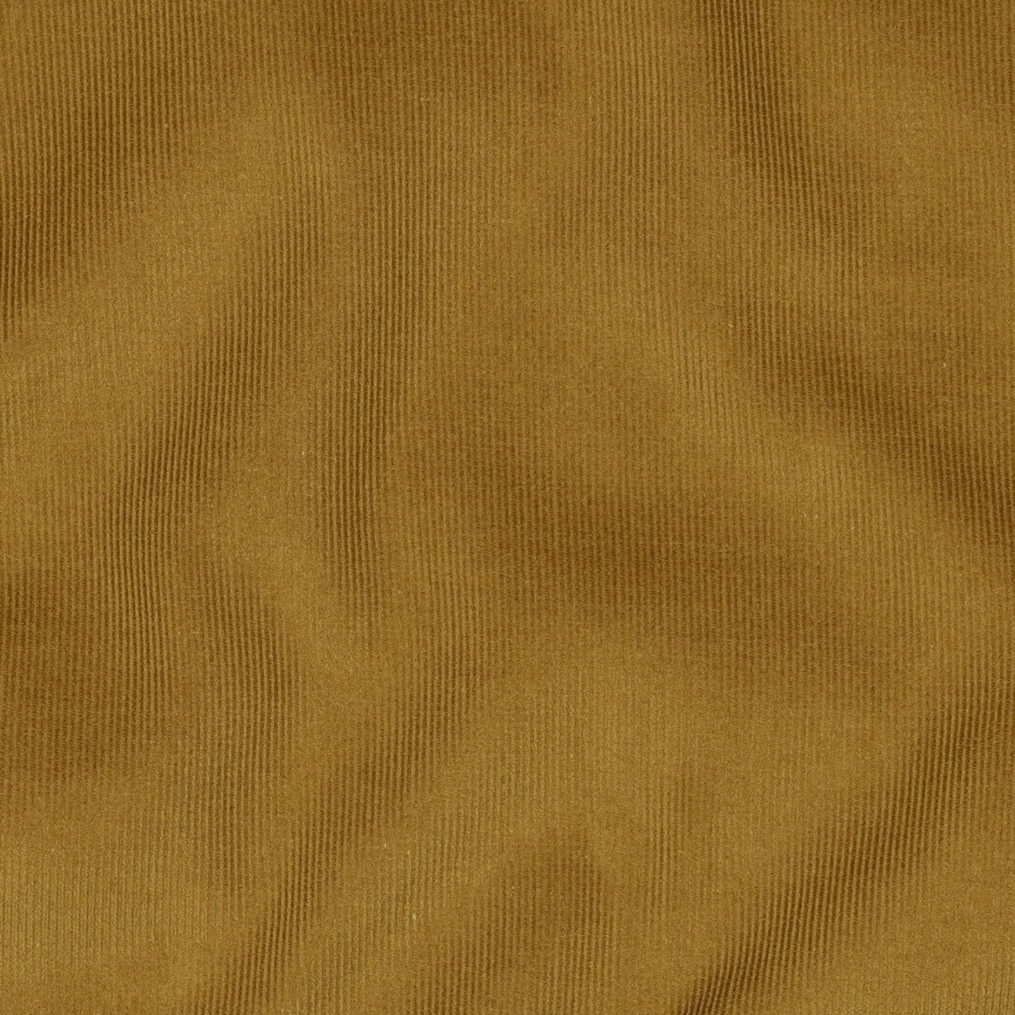 Cotton Needlecord in Hazel