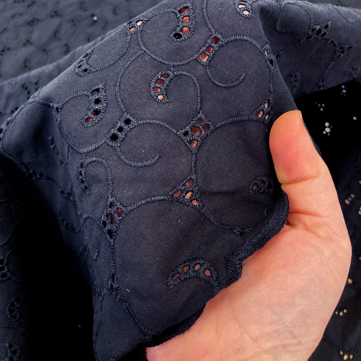 Embroidered Cotton Batiste in Black