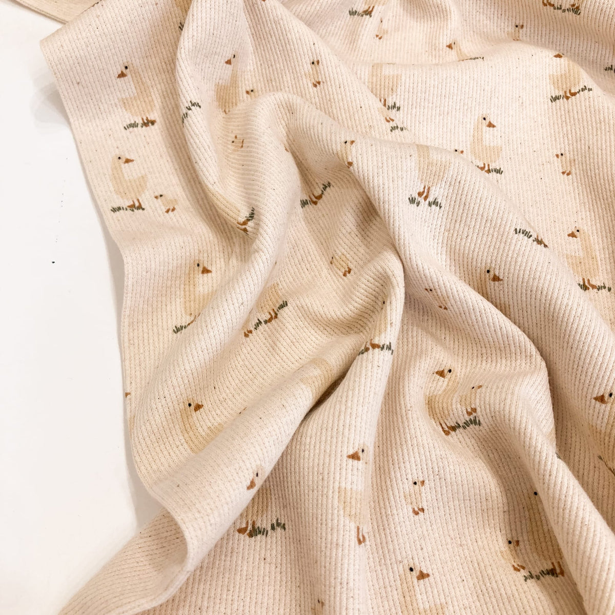 Organic Cotton Rib Jersey 'Ducks'