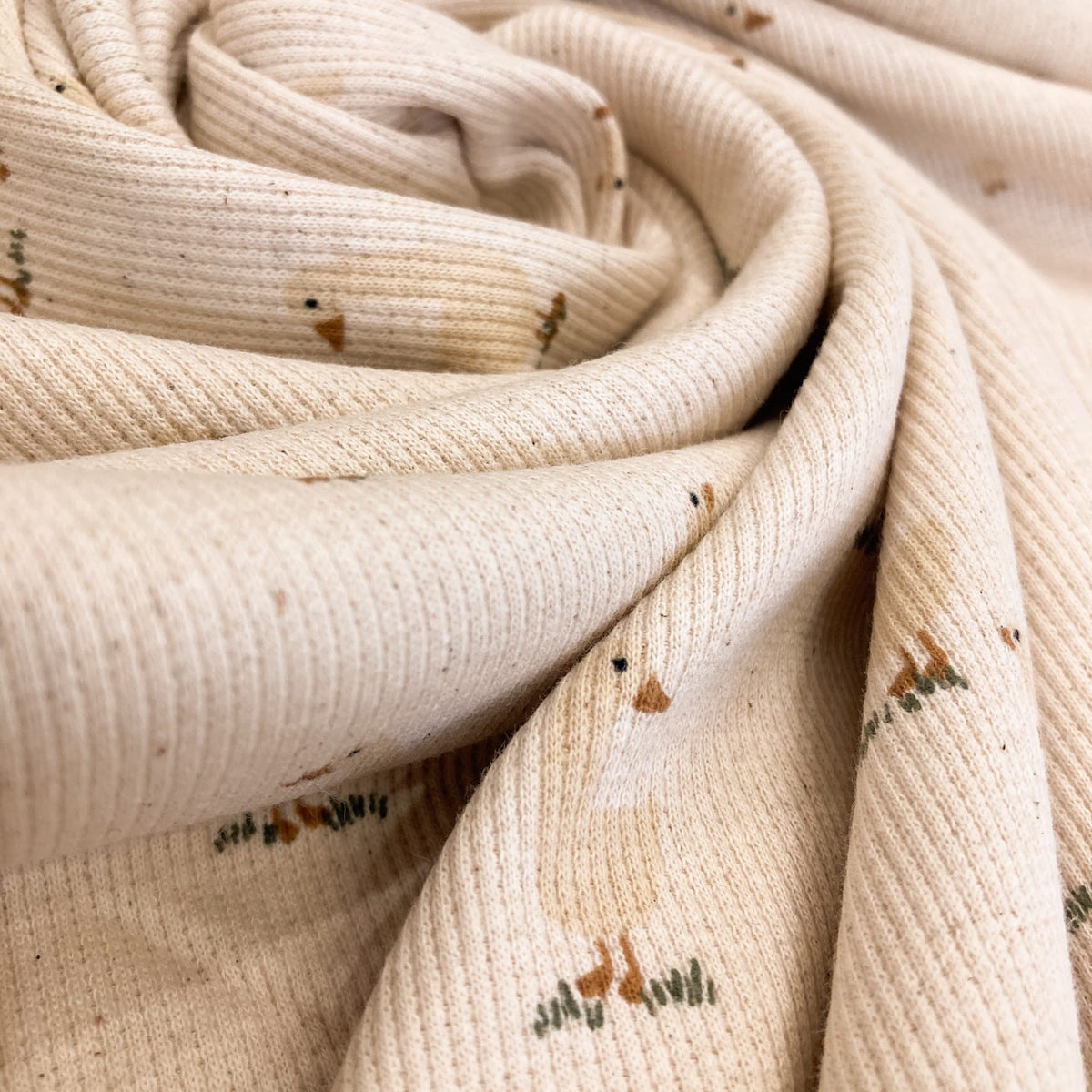 Organic Cotton Rib Jersey 'Ducks'