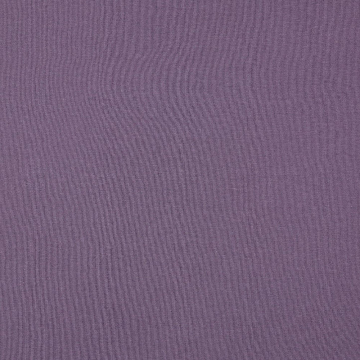 Organic Cotton Fleece-Backed Jersey in Lavender