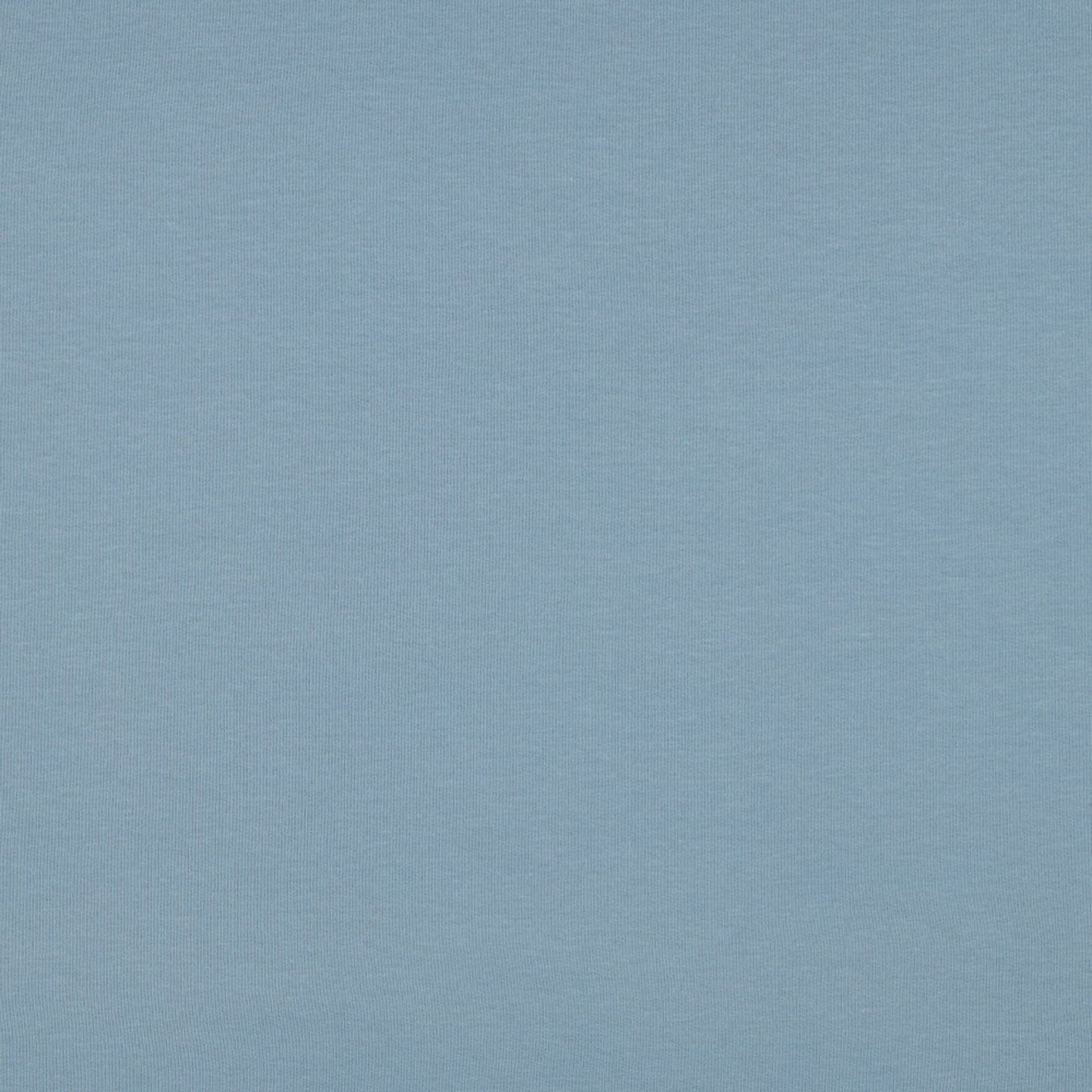 Organic Cotton Fleece-Backed Jersey in Soft Sky Blue