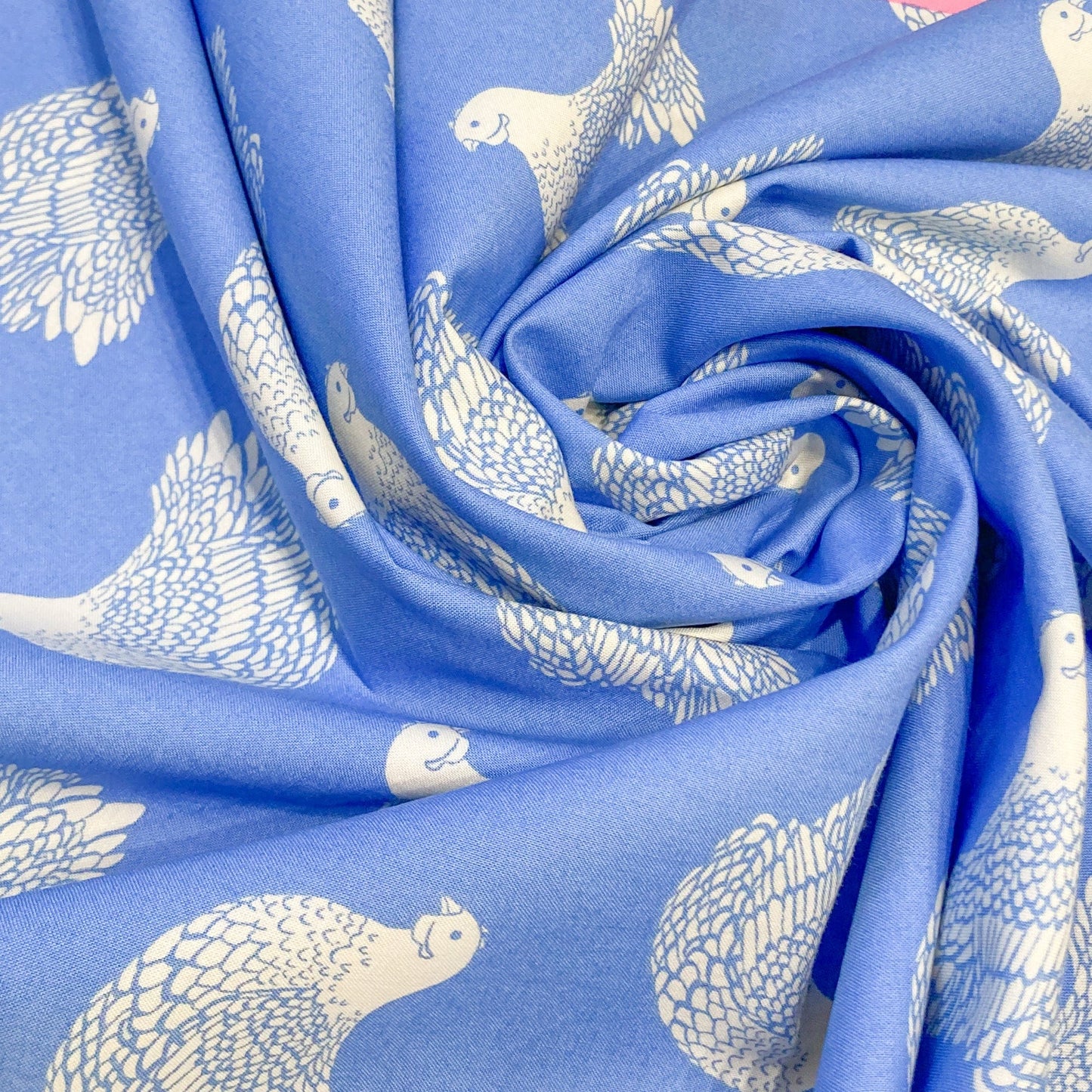 Ruby Star Society 'Backyard' Quilting Cotton 'Chicken' in Dusk