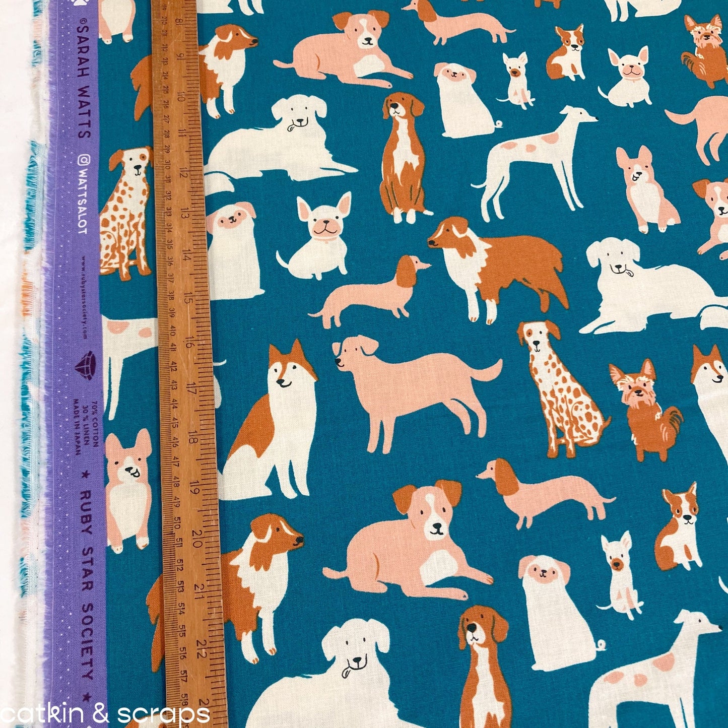 Ruby Star Society 'Dog Park': 'Dog Medley' Canvas in Chambray