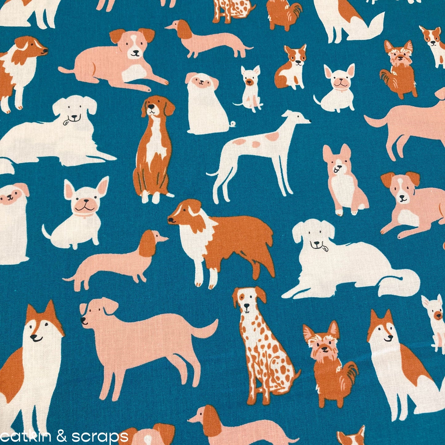 Ruby Star Society 'Dog Park': 'Dog Medley' Canvas in Chambray