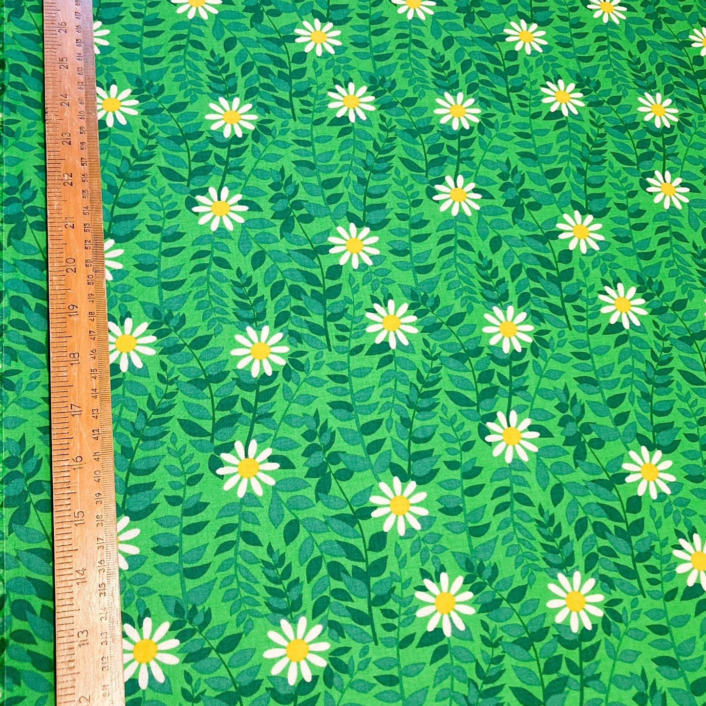 Ruby Star Society 'Flowerland' Quilting Cotton 'Daisies' in Verdant