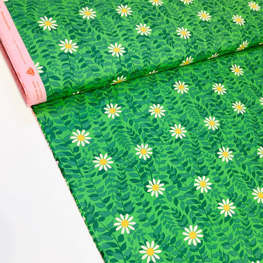 Ruby Star Society 'Flowerland' Quilting Cotton 'Daisies' in Verdant