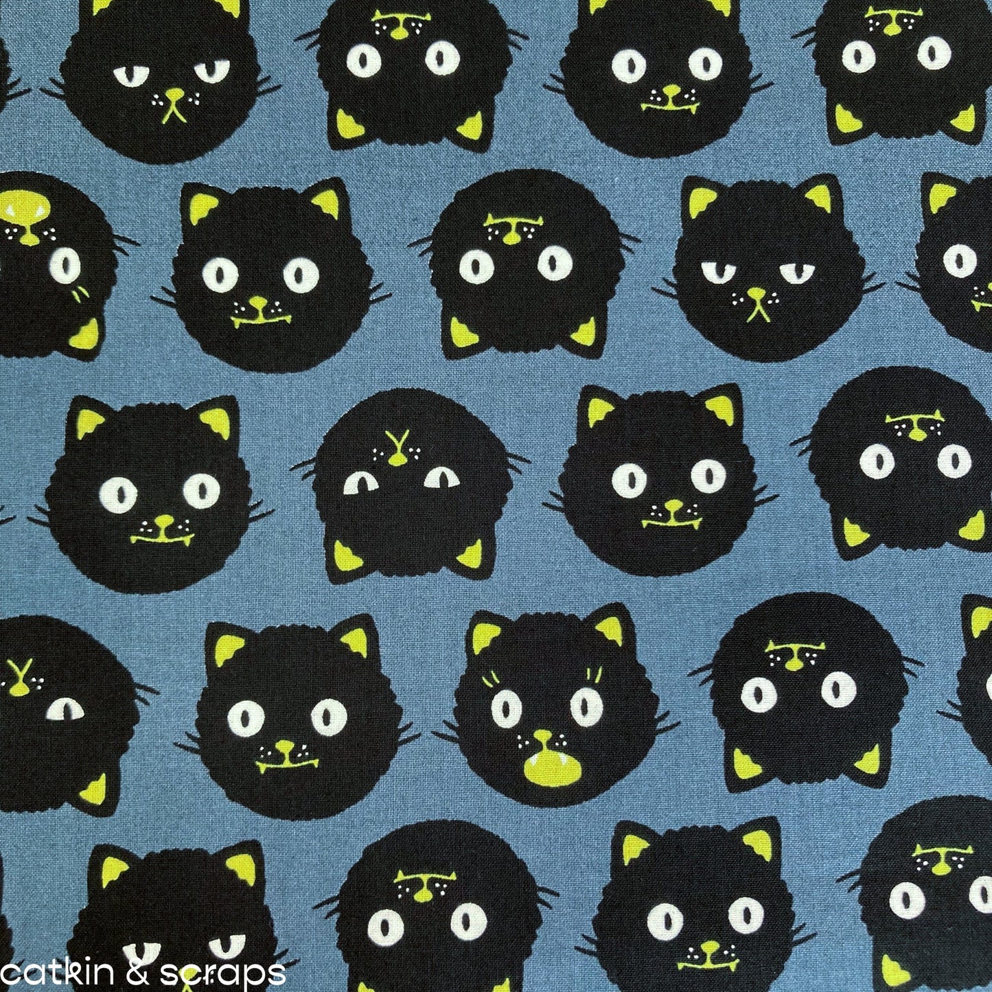 Ruby Star Society 'Good Spirits' Quilting Cotton 'Scaredy Cats' in Ghostly - Glows in the Dark!