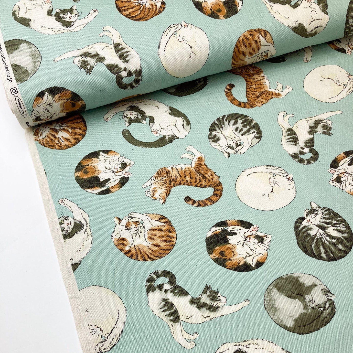 Cosmo Cotton Oxford: 'Stretch and Curl'