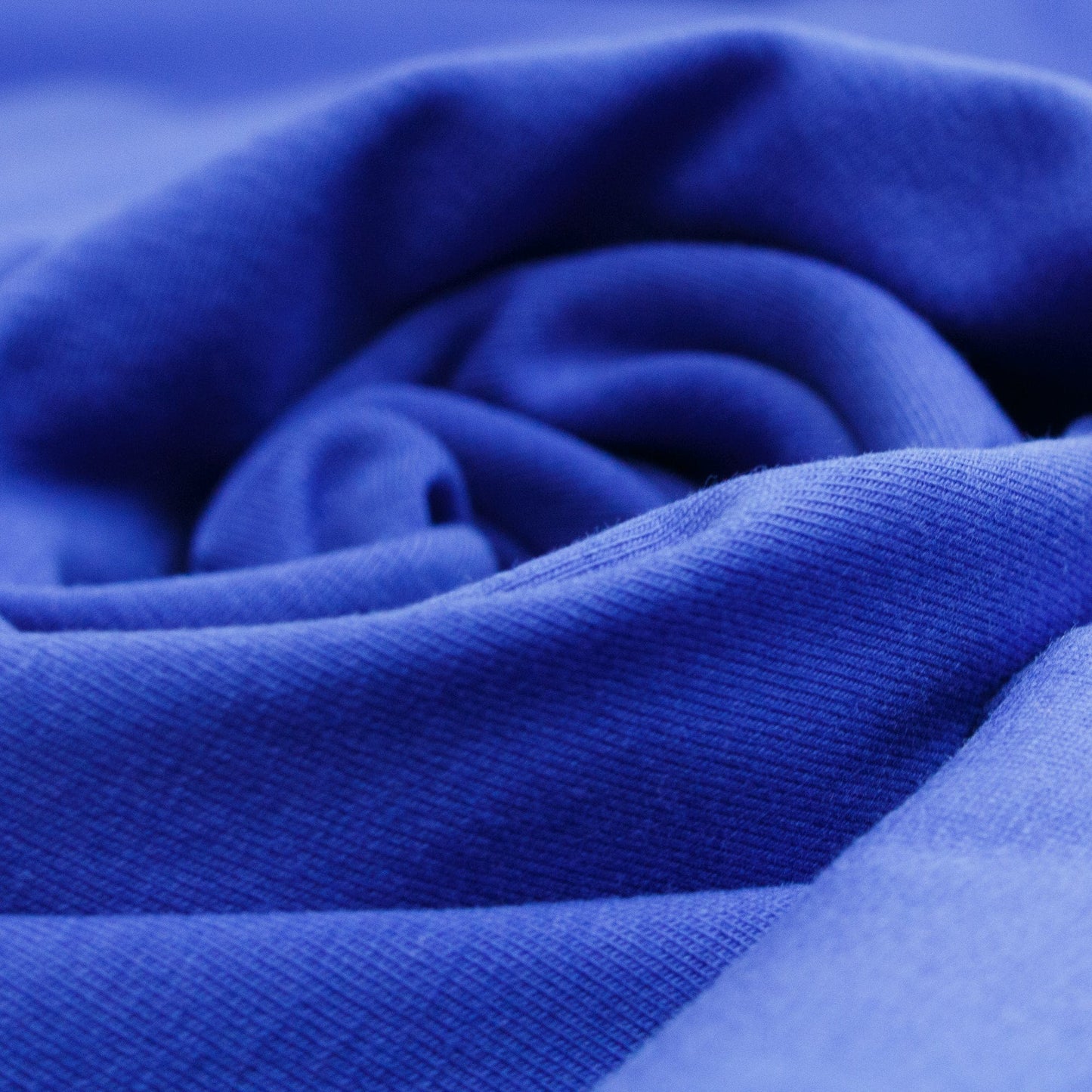 Cotton Jersey in Cobalt Blue