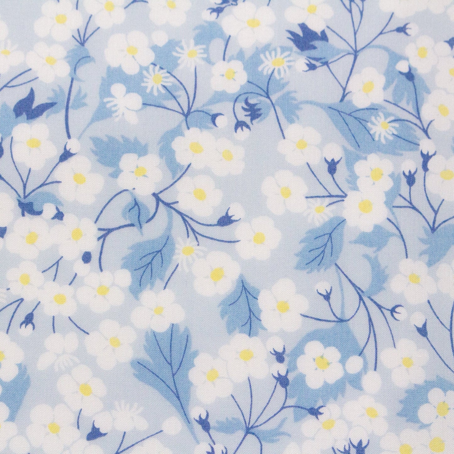 Liberty Fabrics Tana Lawn™ 'Mitsi' in Pale Blue