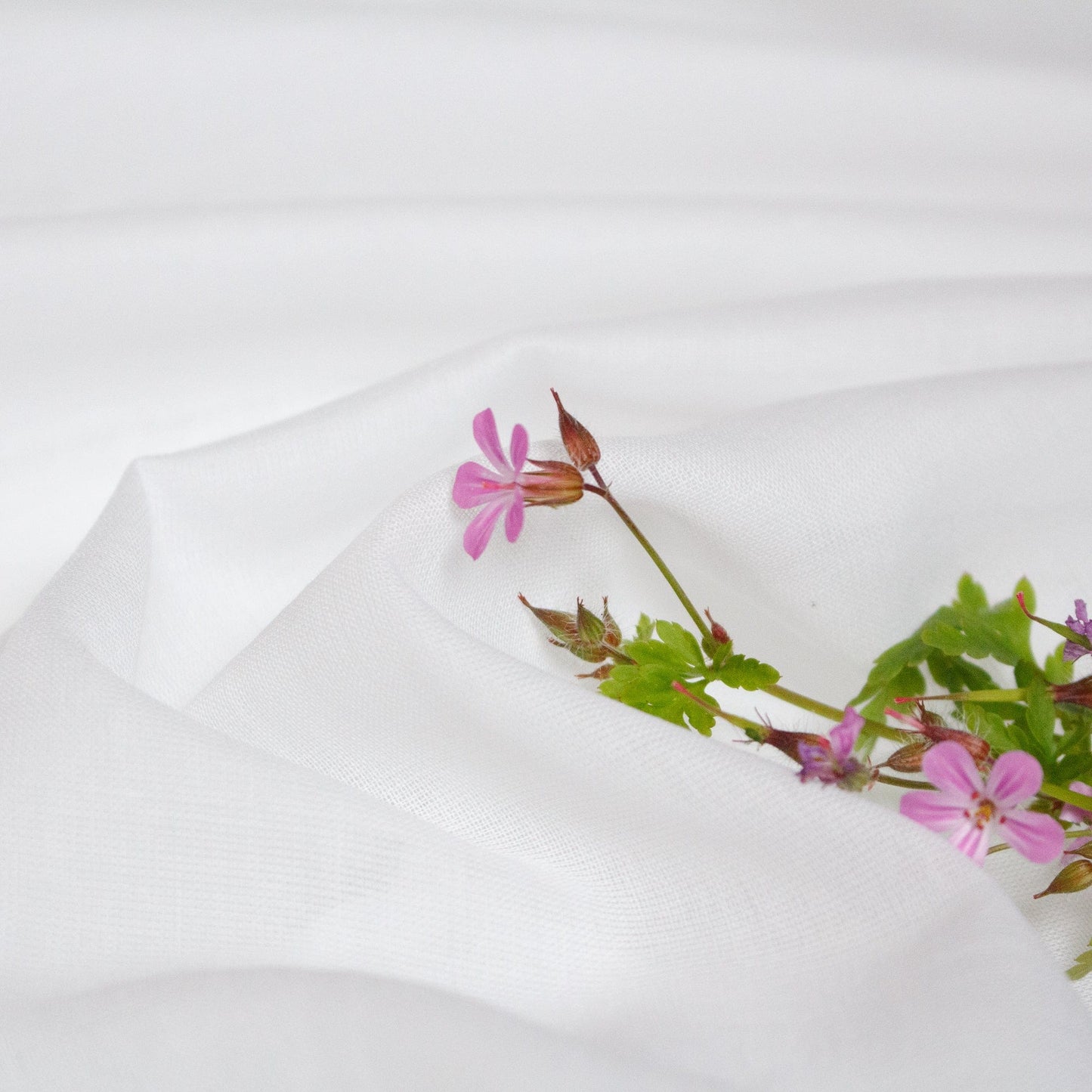 Organic Cotton Voile in White